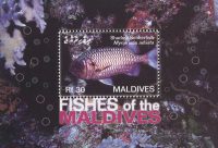 Мальдивы [XI-059] 4