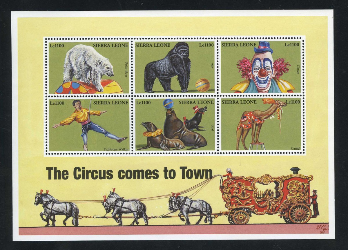 Circus comes to town