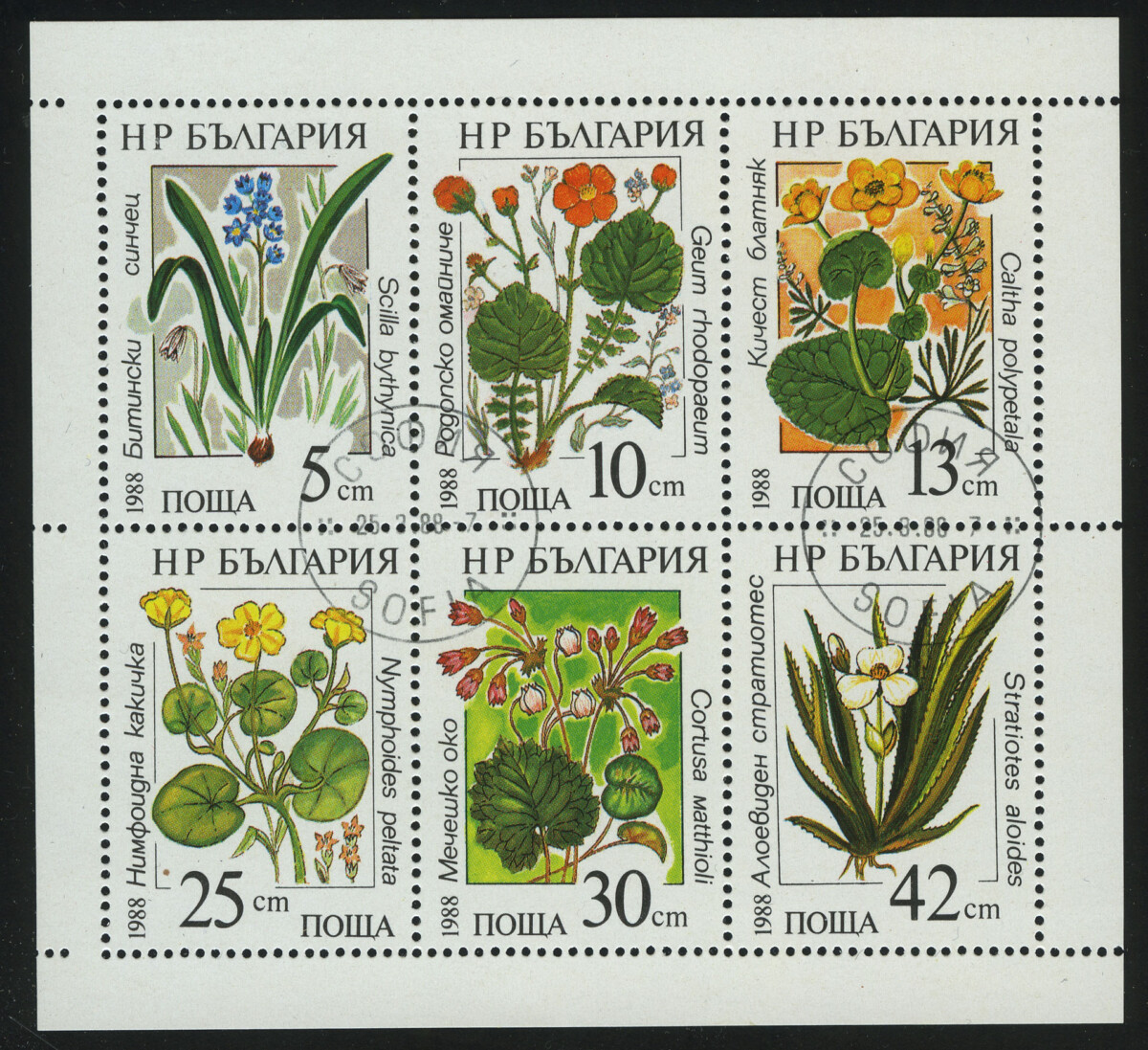 1988. Болгария. Лист "Водные цветы", серия 6/6, (//) [BG3638‑3643_1] + 1
