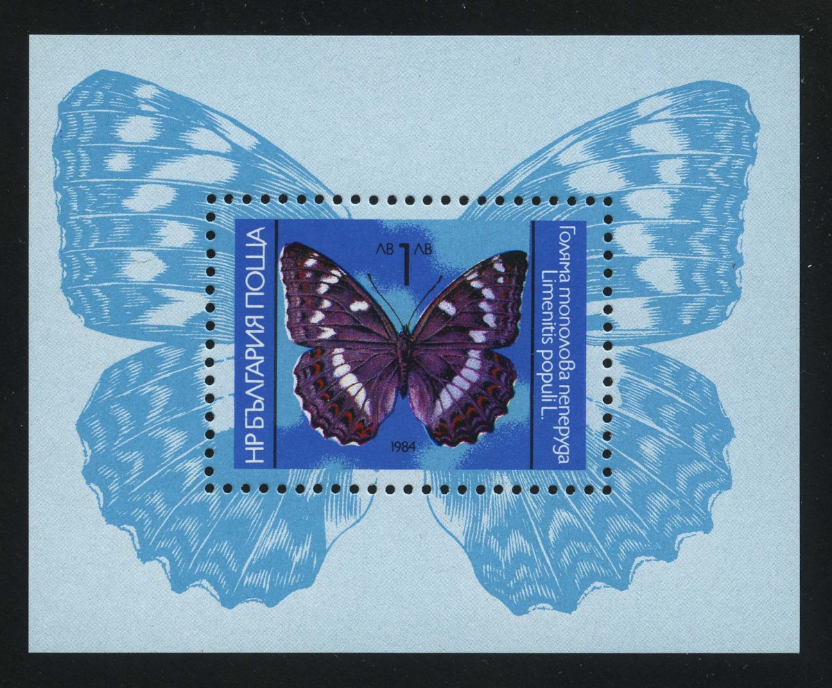 1984. Болгария. Блок "Бабочка. Limenitis populi", 75 x 60 mm,** [BG3331]