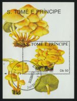 1990. Сан-Томе и Принсипи. Блок "Грибы. Hypholoma capnoides", 85 x 110 мм, (//)** [ST1210] 27