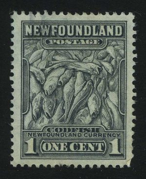 1932. Ньюфаундленд. Атлантическая треска (Gadus morrhua)