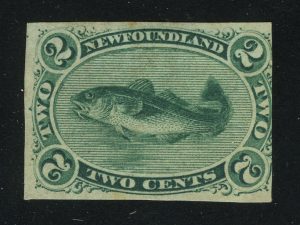 1879. Ньюфаундленд. Атлантическая треска (Gadus morrhua). 2 ¢