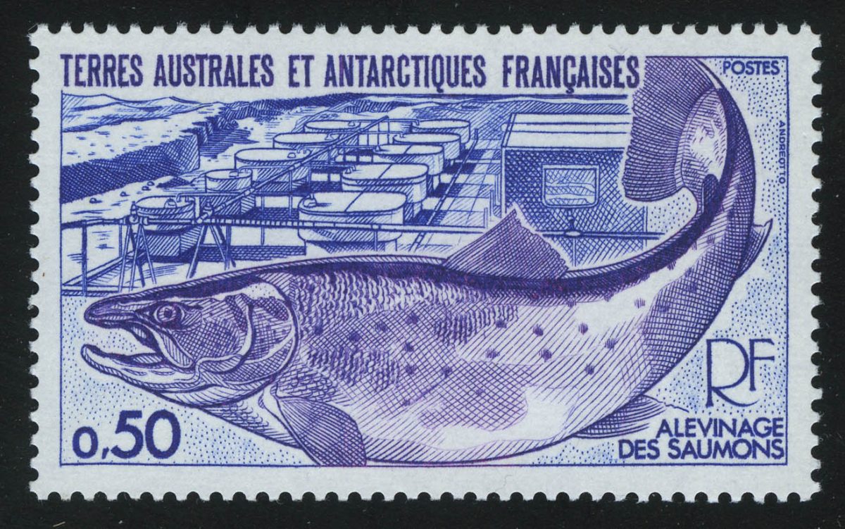 1977. Французские Южные и Антарктические Территории. Тихоокеанский лосось (Oncorhynchus sp.), Рыбная ферма