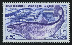 1977. Французские Южные и Антарктические Территории. Тихоокеанский лосось (Oncorhynchus sp.), Рыбная ферма
