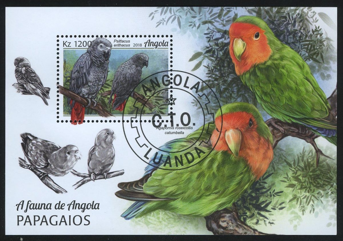 2018. Ангола. Блок "Серый попугай (Psittacus erithacus)"