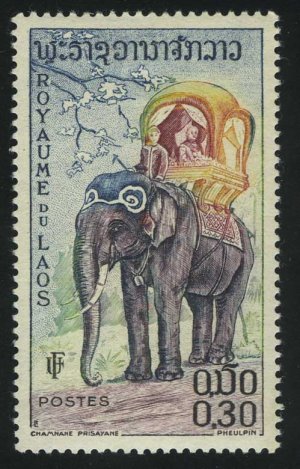 Asian Elephant (Elephas maximus)