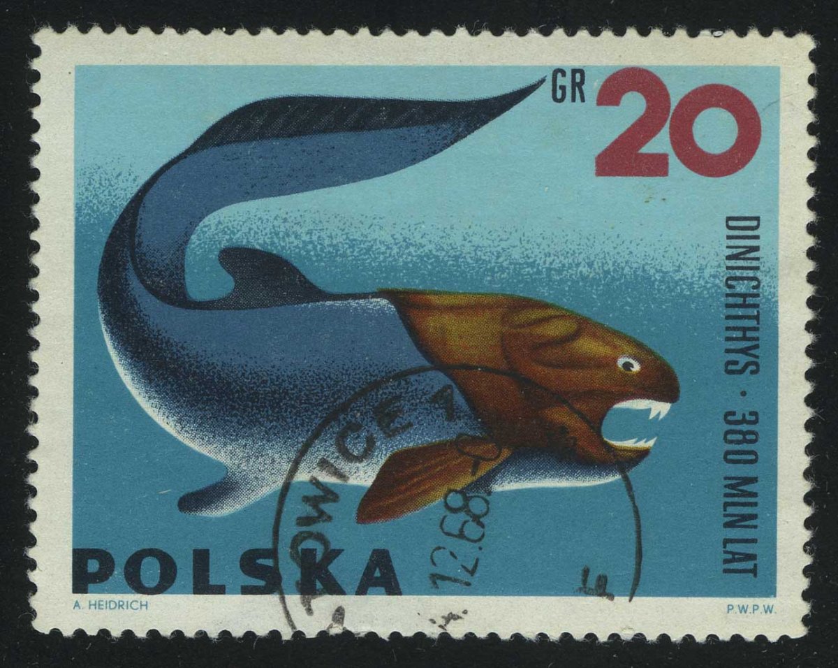 1966. Польша. Dinichthys