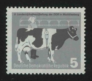 1958. ГДР. Сельское хозяйство. Молочная корова, доярка. 5Pfg