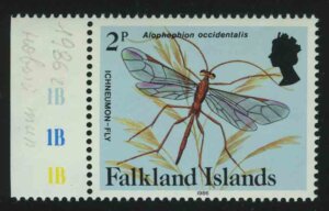 Ихневмоновая муха (Alophophion occidentalis)