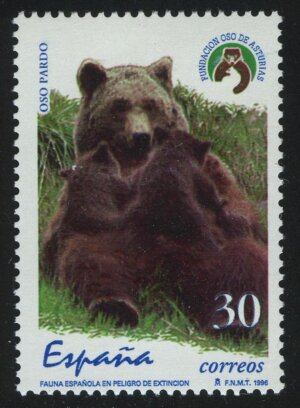 Rare Animals - Brown Bear