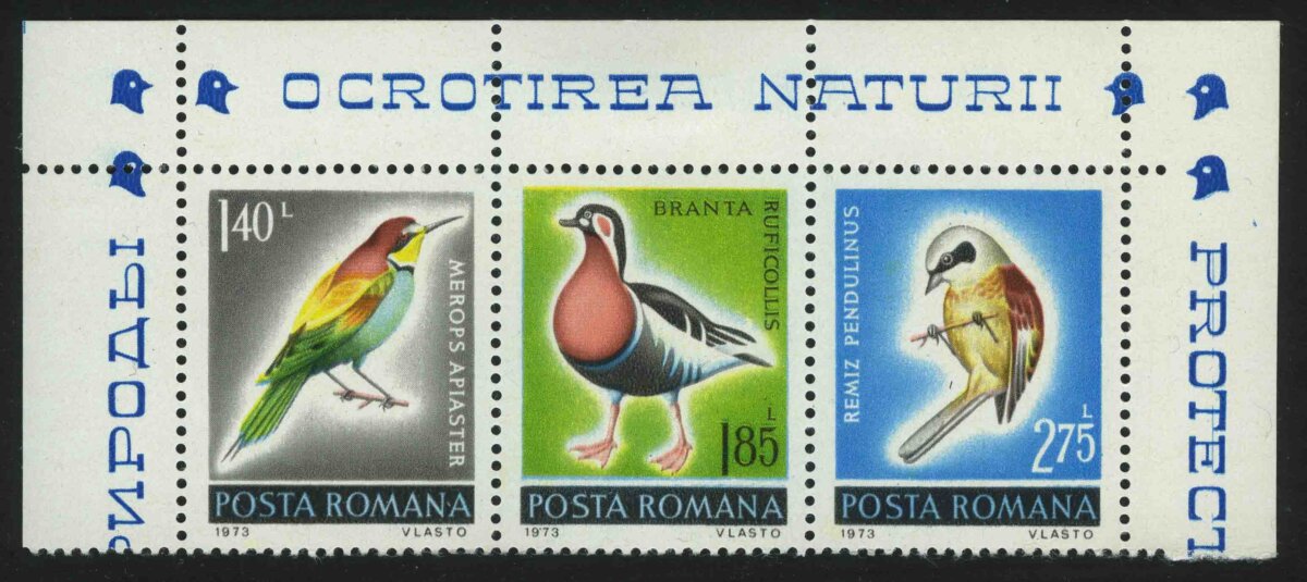 1973. Румыния. Серия "Охрана природы - 1973. Птицы Румынии"