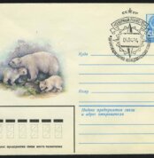 1980. СССР. Конверт "Белый медведь"