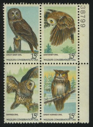 American Owls