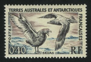 Бурый поморник (Stercorarius antarcticus)