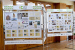 Выставка «Вятский край на почтовой марке»