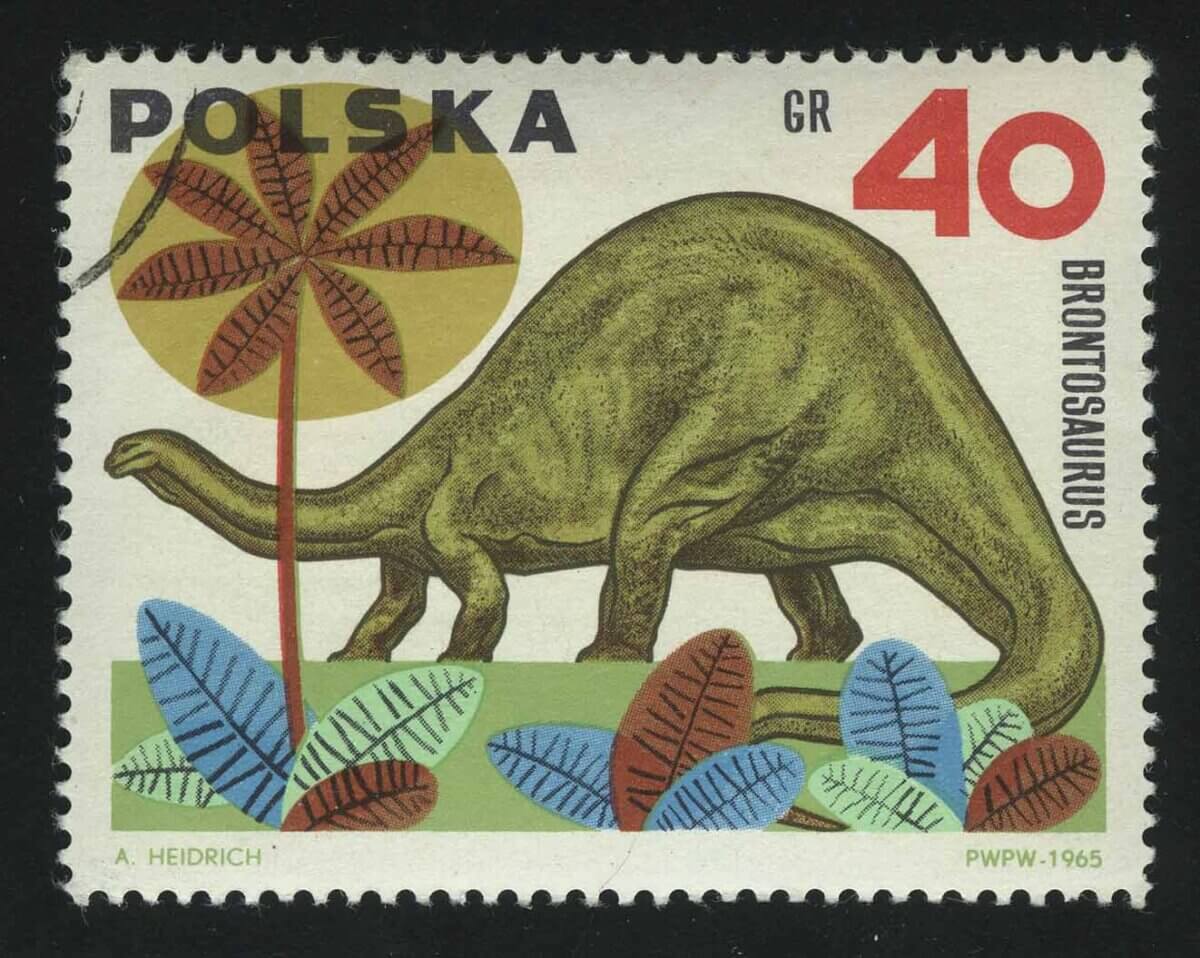 1965. Польша. Brontosaurus
