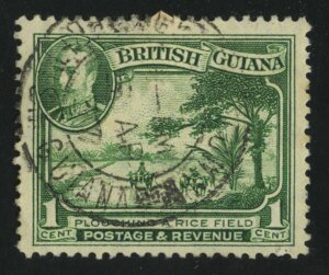 1934. Британская Гвиана. Вспашка рисового поля