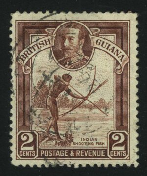 1934. Британская Гвиана. Индейский охотник на рыбу